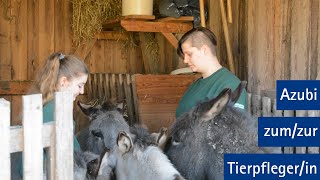 Ausbildung zur Tierpflegerin in der Fachrichtung Zoo  Abheber Ostwestfalen [upl. by Berke]