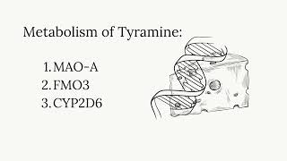 Tyramine Intolerance [upl. by Ettesel64]