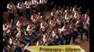 Primavera Allegro  Orquestra Paulistana de Viola Caipirawmv [upl. by Alram195]