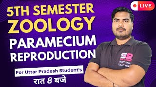 Lt03 Reproduction In Paramecium  5th Semester Zoology Paper  01  Sumit Rana Sir [upl. by Packton]