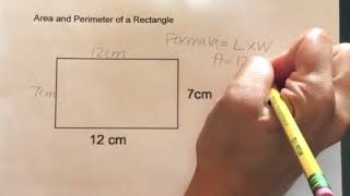 How to find the Area and Perimeter of a Rectangle [upl. by Retxed844]