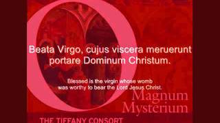 O Magnum Mysterium  NICHOLAS WHITE [upl. by Yclehc]