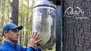 BottletoBottle Honey Production  Contactless Beekeeping [upl. by Weslee]