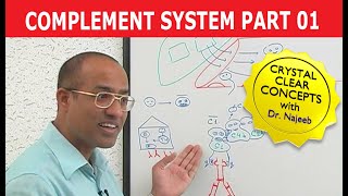 Complement System  Immunology  Part 118 [upl. by Skurnik]