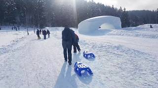 Tor saneczkowy Snowlandia Zakopane  ForumWiedzy [upl. by Groos]