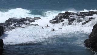 Dangers of Queens Bath Kauai [upl. by Cummings]