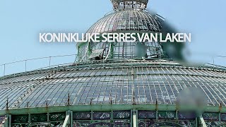 Koninklijke Serres van Laken [upl. by Akenihs]