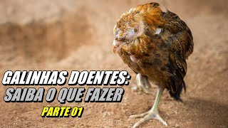 COMO SABER COM QUAL DOENÇA MINHA GALINHA ESTÁ Parte 01 [upl. by Repard]