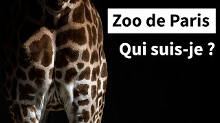 Zoo de Paris  qui suisje  I AFP Photo [upl. by Trefler888]