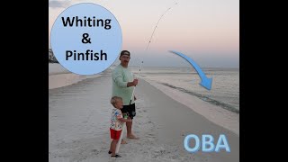 How to Catch Pinfish for Bait Without a Cast Net or a Pinfish Trap Full Instructions [upl. by Leamhsi327]