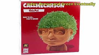 Chia Pet [upl. by Thilde434]