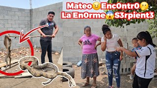 ‼️Mateo Encuentra😳La En0rme Serpiente🫢 Cerca De Su Casa😱Vean Como Termino‼️ [upl. by Anirec71]