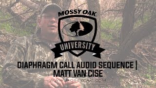 Matt Van Cise Mouth Call Audio Sequence [upl. by Aicats]