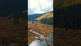 Breckenridge Autumn Colors [upl. by Shulamith]