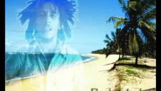 Bob Marley No Woman No Cry DnB Remix HQflv [upl. by Aisanat]