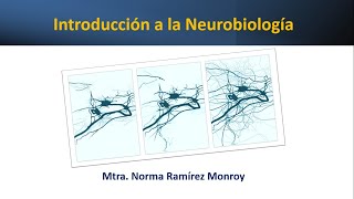 Introducción a la Neurobiologia [upl. by Salvidor]