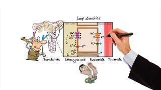 Pharmacology  DIURETICS MADE EASY [upl. by Dygal]