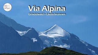 Via Alpina Grindelwald » Lauterbrunnen Etappe 11 [upl. by Camille113]