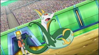 Trips Serperior AMV [upl. by Magner]