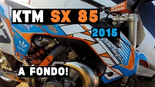 KTM 85 SX a VELOCIDAD MÁXIMA ¿Cuánto alcanzó [upl. by Mercorr]