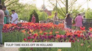 Tulip Time kicks off in Holland [upl. by Cissej]