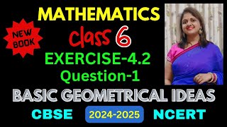 Class6 Maths Exercise42 Question1 New Book हिंदी Explanation  Basic Geometrical Ideas [upl. by Nilad]