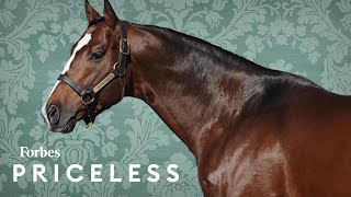 Why This BillionaireOwned Thoroughbred Horse Farm Is Worth 400 Million  Forbes Priceless [upl. by Sadonia]