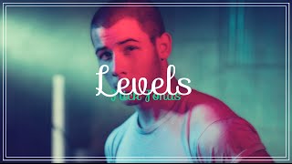 Nick Jonas  Levels Deutsche Übersetzung [upl. by Bridges]