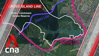 Going around or under nature reserve both feasible options for Cross Island Line LTA [upl. by Yelrahc966]