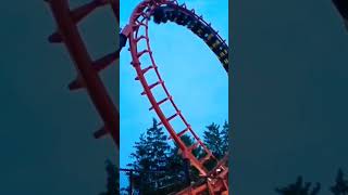 When the Roller Coaster Ride Turns into NonStop Laughter 🎢😂  Viral Comedy Video [upl. by Ynnot700]