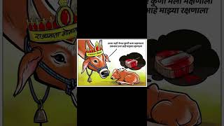 song marathi music love bull cattle cow cowandbull dharmaveer mother [upl. by Anahs401]