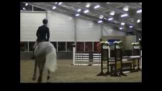 Cantario Hengstenshow Reinie Tewis 2015 [upl. by Hospers594]