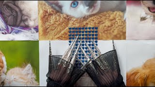 ASMR 🐶 Nine Different Triggers 🐱 w Long Nails No Talking [upl. by Tunnell]