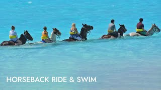 Horseback Ride N Swim  Shore Excursion  NCL [upl. by Brendon588]