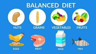 Balanced Diet  Best food for health [upl. by Arreik]