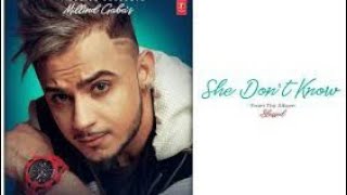 She Dont Know  Millind Gaba  Full Song  From Blessed  2019 [upl. by Eltsirc842]