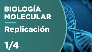 REPLICACIÓN del ADN  Biología Molecular 14 [upl. by Bean]