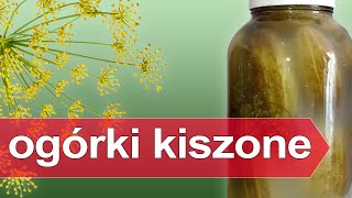 Jak kisić ogórki  domowy sposób na kiszenie ogórków w słoiku ogórki kiszone [upl. by Arabelle]