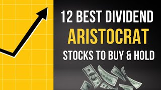 12 Best Dividend Aristocrat Stocks To Buy amp Hold [upl. by Arevle203]