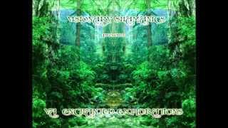 Therange Freak  Enchanted Explorations Darkpsy Forest [upl. by Naimerej]