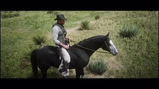 Red Dead Redemption 2 How To Get The Gang Horses As Arthur [upl. by Cathey568]