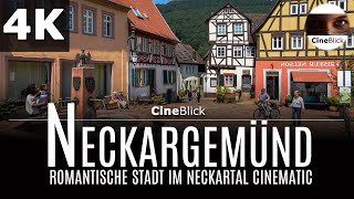 Neckargemünd 4K [upl. by Nowell145]