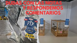 OBSERVACIONES Y POSIBLES DUDAS CON LAS NOTAS DE NUESTROS PAJARITOS 🐦🐦🐦 [upl. by Selyn]