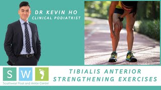 Tibialis Anterior Strengthening Exercise [upl. by Jania]