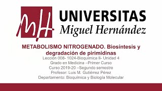 Lec033 Metabolismo nitrogenadoBiosíntesis y degradación de pirimidinas umh1024 20192020 [upl. by Corri]