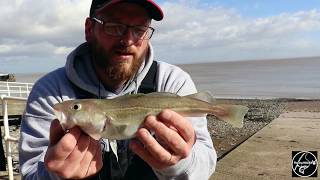 Fishing ROCKS Episode 3 Early spring Shore fishing Penarth beach Cardiff [upl. by Oglesby]