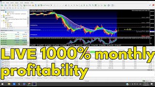 Robot fx scalper 1000 monthly profitability  total profit from 50 usd to 41000 usd on real account [upl. by Netsrik]