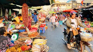 Cambodian City Food Market View  Fish Market Scenes amp Vendor Life Seafood fish Dessert amp more [upl. by Astri]