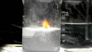 Sodium Reacts with Water [upl. by Anitsahs821]