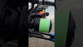 Daiwa emblem 45 SCW QD newtoys carp daiwa emblem fishing wlc [upl. by Karrah]